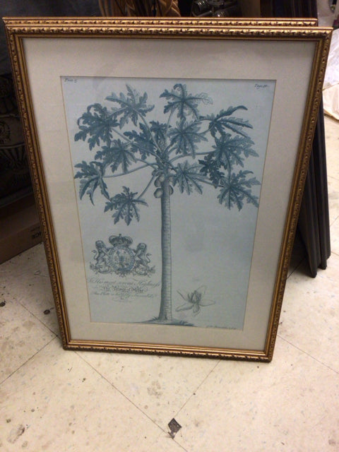 24" X 17" Ballard Design Gold Framed Palm Print