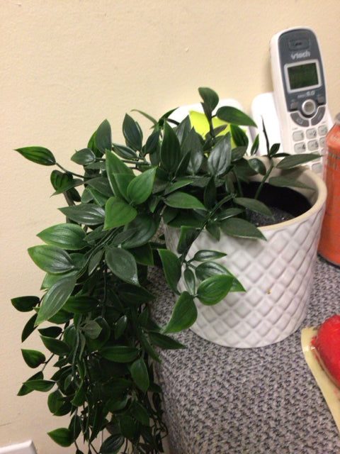 4" Ikea Artifical Plant In Tactile Planter