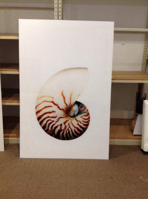 40x60 Nautical Shell Art