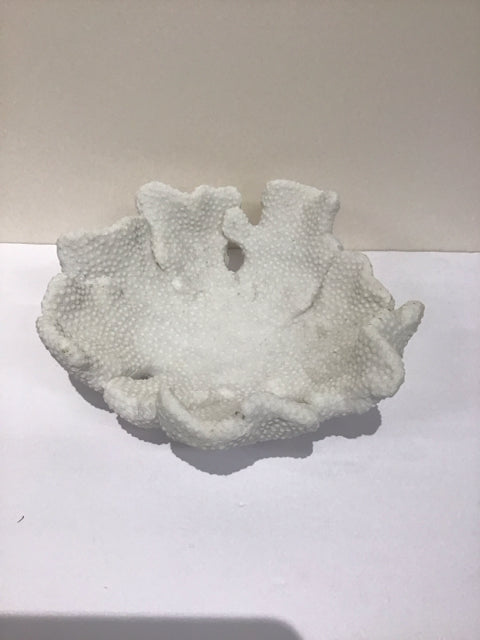 11.5" White Faux Coral  Decorative Bowl