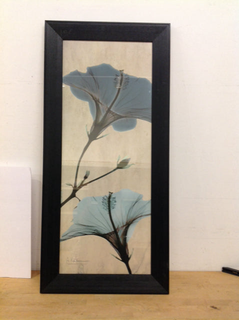 45x21 Framed Hibiscus/Poppy Print on Paper