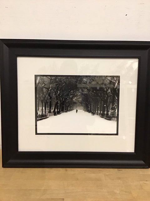 21"x25" "Man Walking In Central Park" By Daniel Powers Art