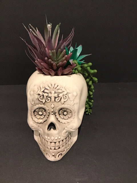 5" Ceramic Skull w/Faux Succulents
