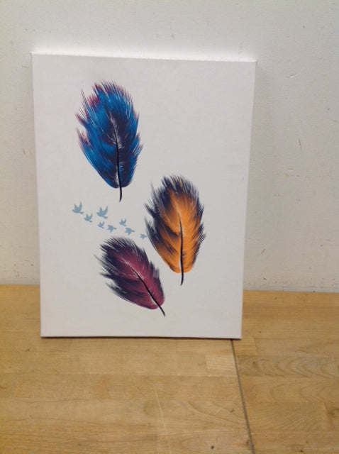 12x16 Feather Canvas Print