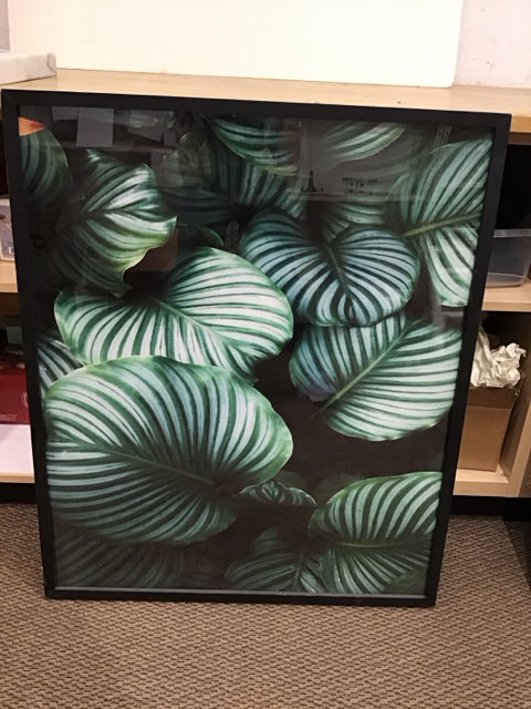 30x36 Framed Botanical Print AS-IS Frame Nicked
