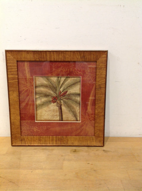 14.5" Framed "Royal Palm IV"
