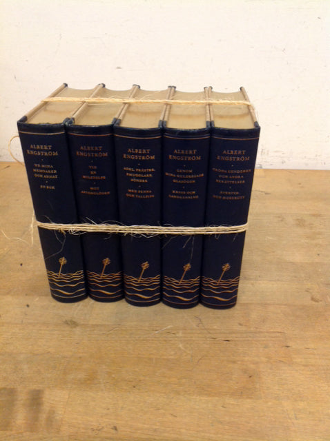 Set Of 5 Decorative Books