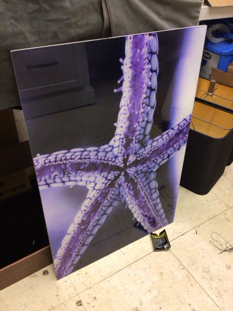 16 3/8" X 24 3/8" Purple Starfish Wall Decor