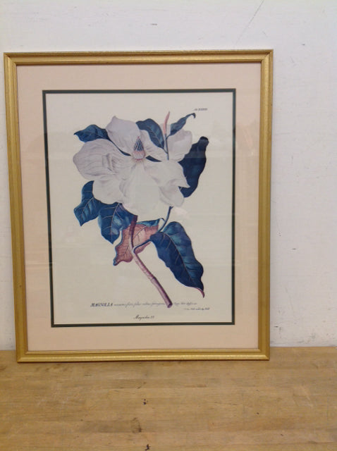 27x32 Framed "Magnolia 33" Print