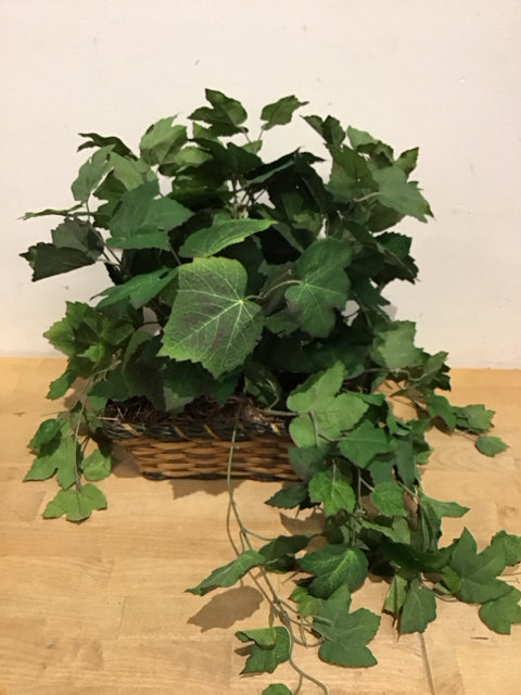 12"x10" Faux Ivy In Wicker Basket Plant