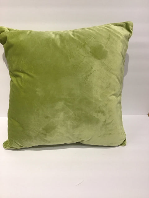 Green Velour Pillow