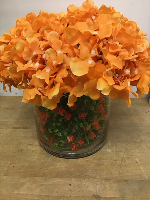 Orange Hydrangeas In 8" Clear Glass Vase