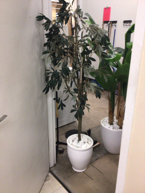 69" Faux Plant In White Planter W/Rocks