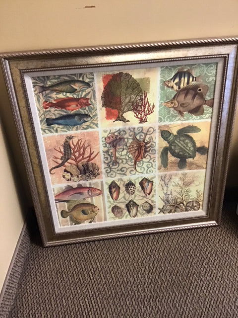 30" Sq. Fish Coral & Shell Art