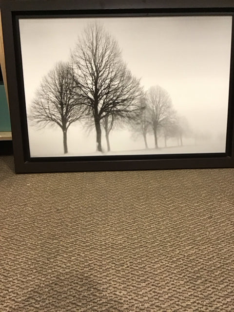 41"x29.5" Winter Trees By Ilona Welllman Art
