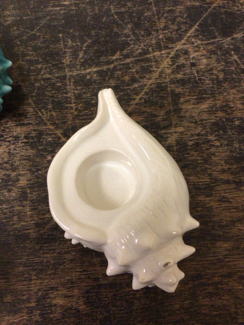 Conk Shell Candle Holder