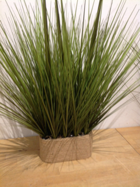 25" Grass In Rope Basket