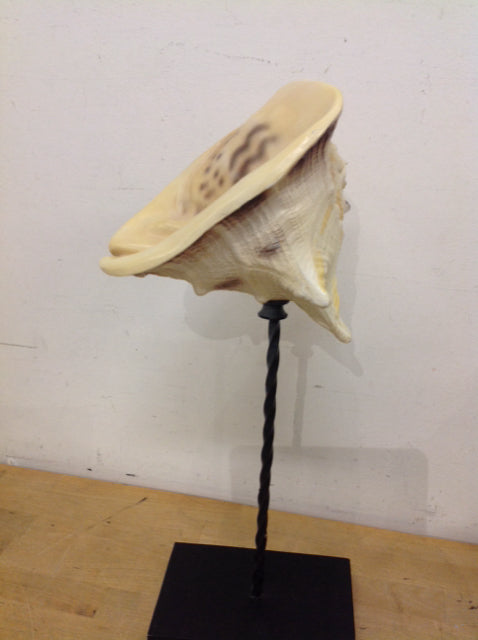 20" Resin Conk Shell On Stand